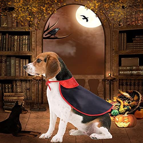 LKEX HALLOWEEN GAMPIRE GAMPIRE תלבושת כלב גדולה, כף חיית מחמד בגדי חג מצחיקים למסיבת קוספליי זומבים עקובים מדם COLOWEEN