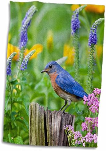 3ד רוז מזרח ציפור כחולה על עמוד גדר בגן הפרחים מריון קו. 205568_1 מגבת, 15 איקס 22